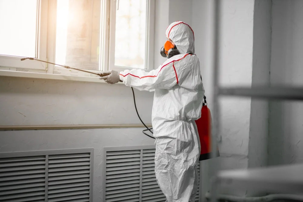 Professional mold remediation services in Vivian, LA